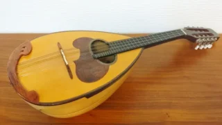 vol.62　マンドリンという楽器